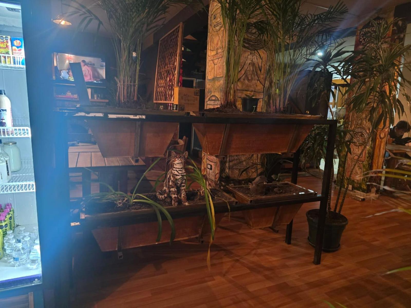 Portelli Hostal Zona G- Para Extranjeros โบโกตา ภายนอก รูปภาพ